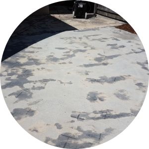 Roof Repairs Icon
